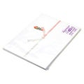 のし紙 A4判 十本結切 京/100枚×5冊入