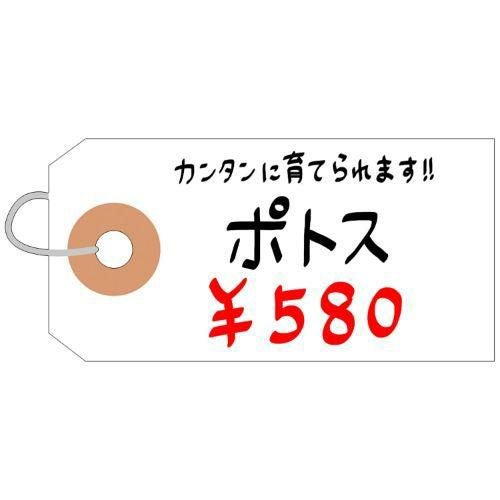 耐水紙荷札 豆/2000枚×1箱