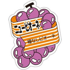 SLラベル ニューピオーネ/500枚×10冊入