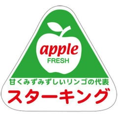 SLラベル スターキング/500枚×10冊入