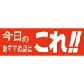 SLラベル 今日のおすすめはこれ！！/500枚×10冊入