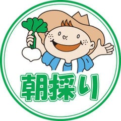 SLラベル 朝採り/1000枚×10冊入