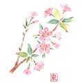 敷紙 尺3寸長手和紙敷マット(100枚単位)桜(3月～4月)