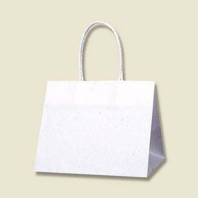 Pスムースバッグ 25-19 白無地 25枚入