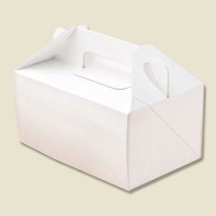 エコパームBOX キャリーM 20枚入