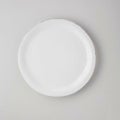 カンパーニャ ディナープレート28cm