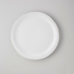 カンパーニャ ディナープレート28cm