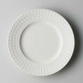サティニーク 25.5cmプレート