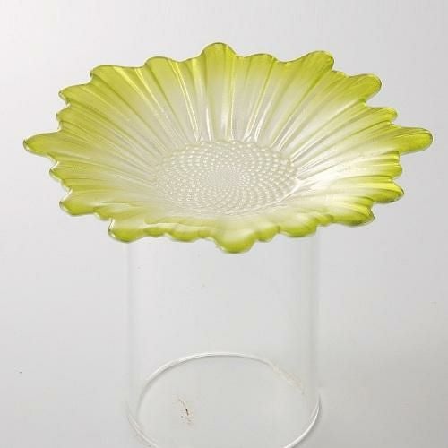 デイジー プレート グリーン プレート 高さ22mm×口径:155