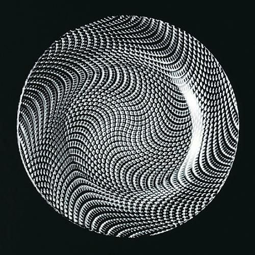 ドラ プレート24 プレート 高さ16mm×口径:240