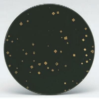 回転寿司皿 寿司皿緑彩箔ちらし/業務用食器