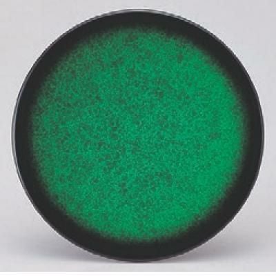 回転寿司皿 寿司皿アクアグリーン