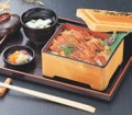 丼重 D.X丼重花梨春秋内朱