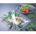 盛皿 越前長手盛皿涼一筆8寸