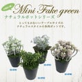 人工観葉植物 パープルセダム ミニサイズ/業務用/新品