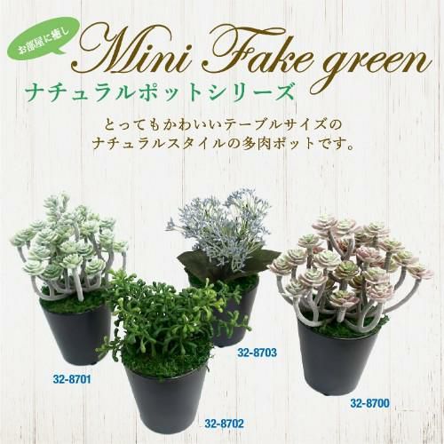 人工観葉植物 ブルースキニア ミニサイズ/業務用/新品