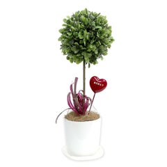 人工観葉植物 ボックスウッド Sサイズ/業務用/新品