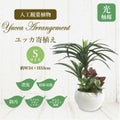人工観葉植物 ユッカ寄植え Sサイズ/業務用/新品