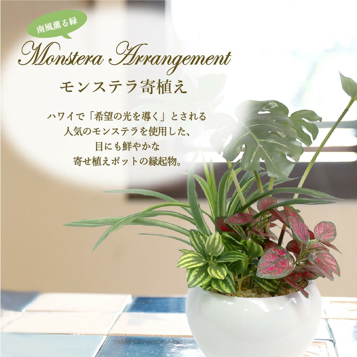 人工観葉植物 モンステラ寄植え Sサイズ/業務用/新品