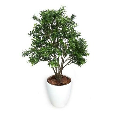人工観葉植物 ボックスウッド Mサイズ/業務用/新品/送料無料