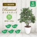 人工観葉植物 ボックスウッド Mサイズ/業務用/新品/送料無料