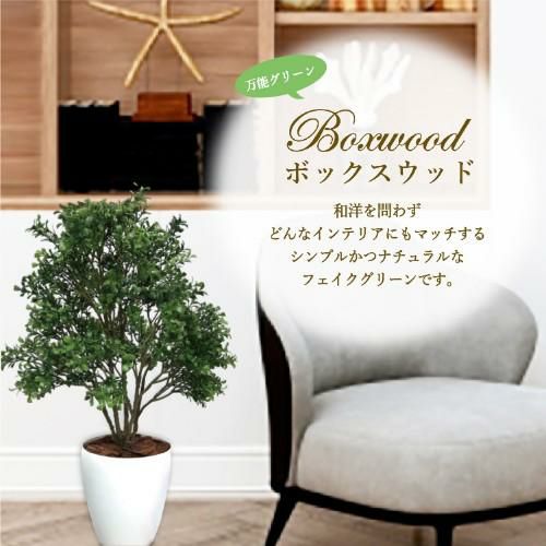 人工観葉植物 ボックスウッド Mサイズ/業務用/新品/送料無料