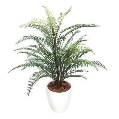人工観葉植物 タマシダ Mサイズ/業務用/新品/送料無料