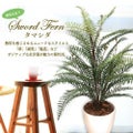 人工観葉植物 タマシダ Mサイズ/業務用/新品/送料無料
