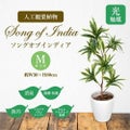 人工観葉植物 ソングオブインディア Mサイズ/業務用/新品/送料無料