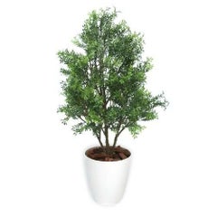 人工観葉植物 ティーリーフ Mサイズ/業務用/新品/送料無料