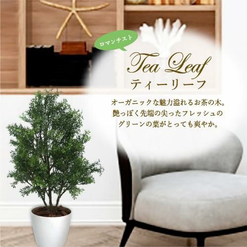 人工観葉植物 ティーリーフ Mサイズ/業務用/新品/送料無料