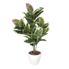 人工観葉植物 アルテシマ Mサイズ/業務用/新品/送料無料