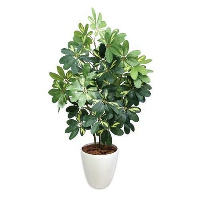 人工観葉植物 シェフレラ Lサイズ/業務用/新品/送料無料