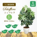 人工観葉植物 シェフレラ Lサイズ/業務用/新品/送料無料