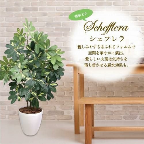 人工観葉植物 シェフレラ Lサイズ/業務用/新品/送料無料