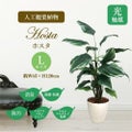 人工観葉植物 ホスタ Lサイズ/業務用/新品/送料無料