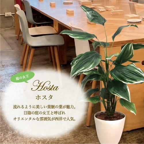 人工観葉植物 ホスタ Lサイズ/業務用/新品/送料無料