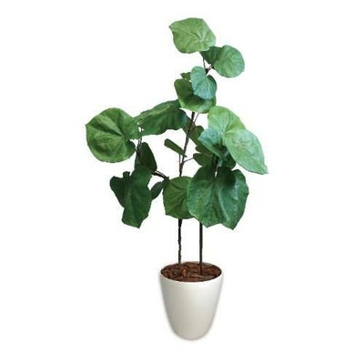 人工観葉植物 ウンベラータ Lサイズ/業務用/新品/送料無料