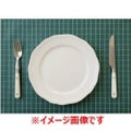 【※3枚以上の発注】フローリナ ランチョンマット ホワイト＆レースシリーズ 44×33/業務用/新品