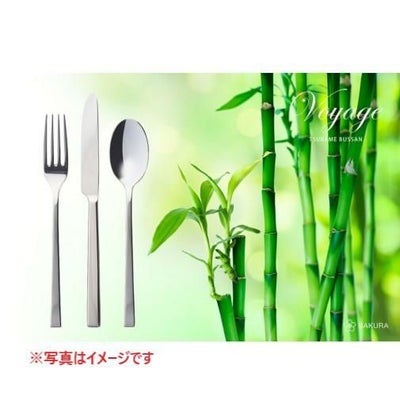 ヴォワージュ アイスクリームスプーン /業務用/新品/小物送料