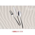 ブランチ テーブルスプーン /業務用/新品/小物送料