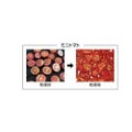 【食品乾燥機 ドラッピー DSJ-mini】 幅380×奥行325×高さ484(mm)/業務用/グループA