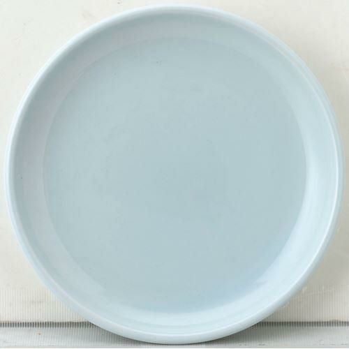 12-98-4 天青 19cm皿 青白磁 19.8×2.4(cm)