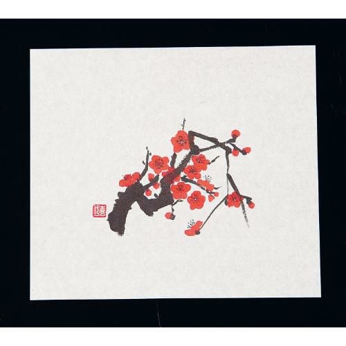 鮮度保持紙(100枚入) 紅梅 M30-086