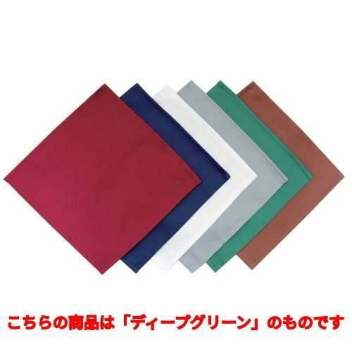 EBM カトラリーケース用ナプキン(10枚入)ディープグリーン 230×230 食器//小物送料対象商品