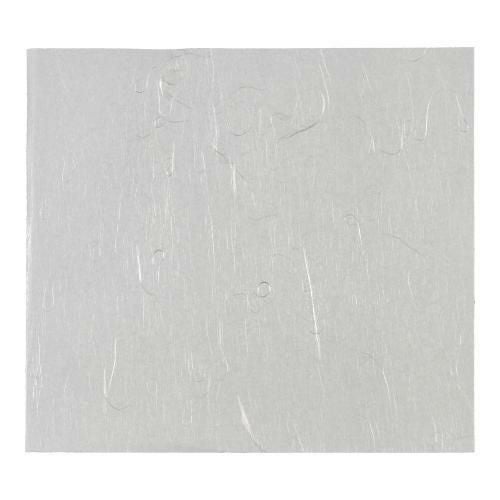 高級雲龍 天ぷら敷紙(500枚入)