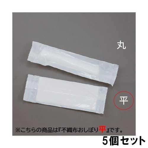 TB 不織布おしぼり 平 1セット100本入 【5個セット】