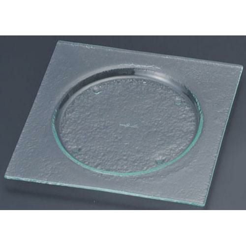 タイガーグラス スクエアプレート 245 162-192-12 クリア