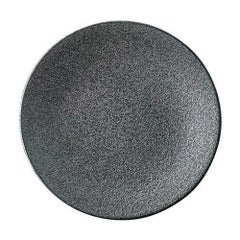 20cmデザート(銀鱗)カリタ