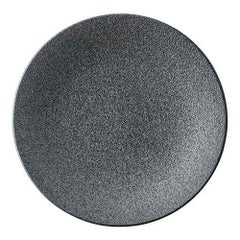 27cmディナー(銀鱗)カリタ